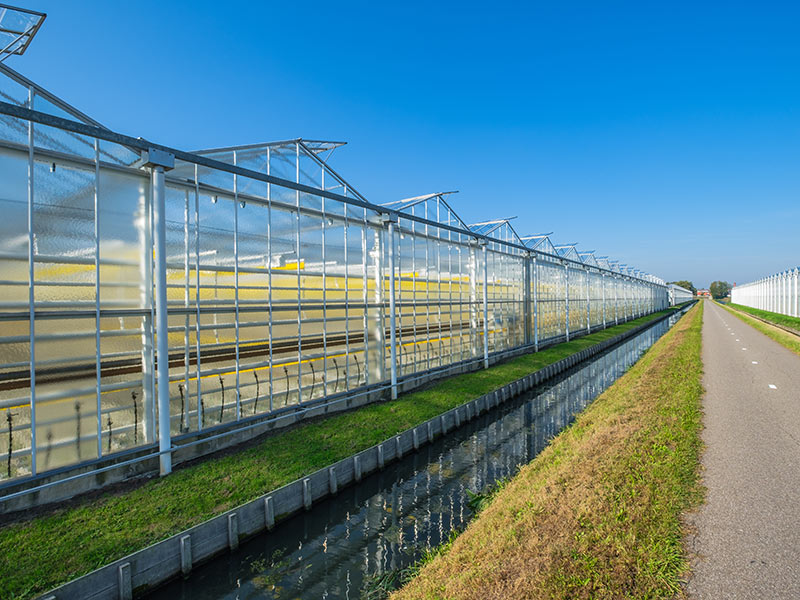 連棟溫室的使用事項有哪些？